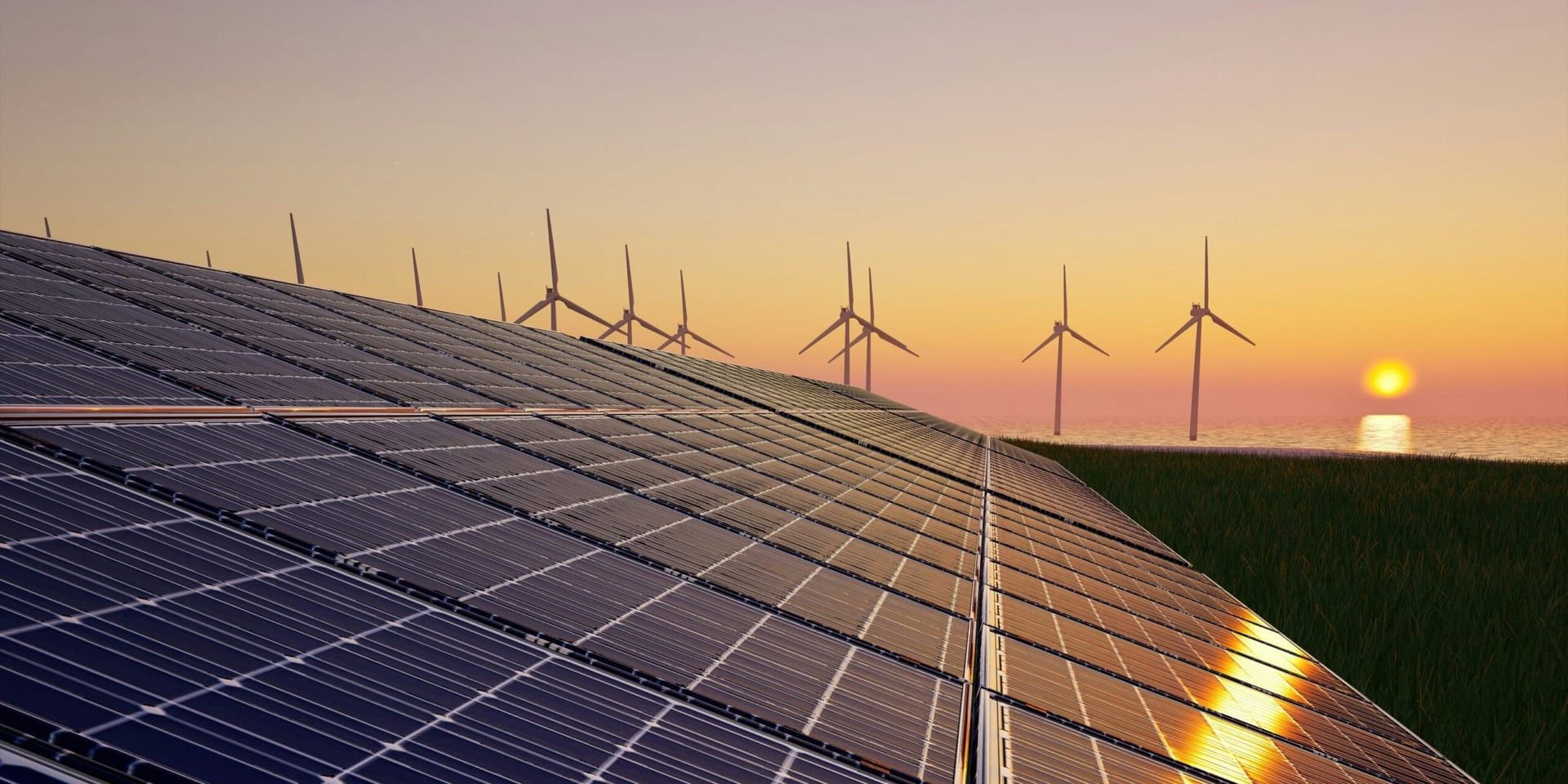 America’s Climate Future: How States Are Shaping the Green Revolution