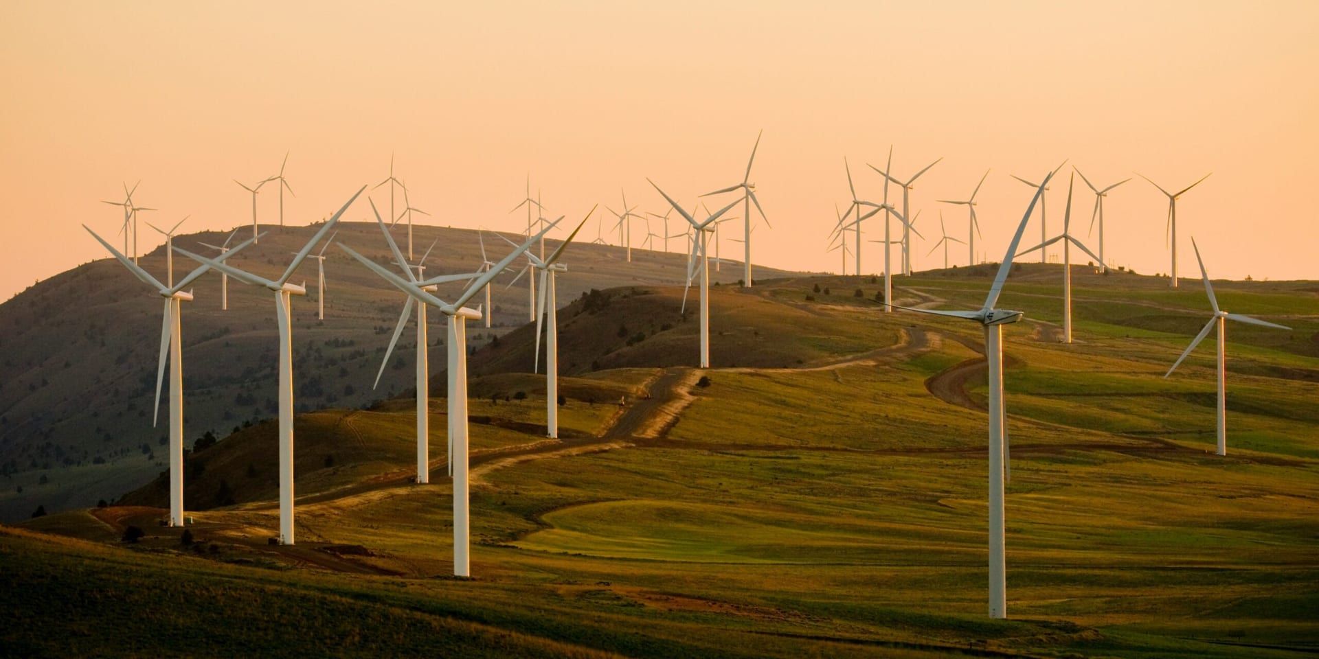 American public power association eibth5dxw9w unsplash