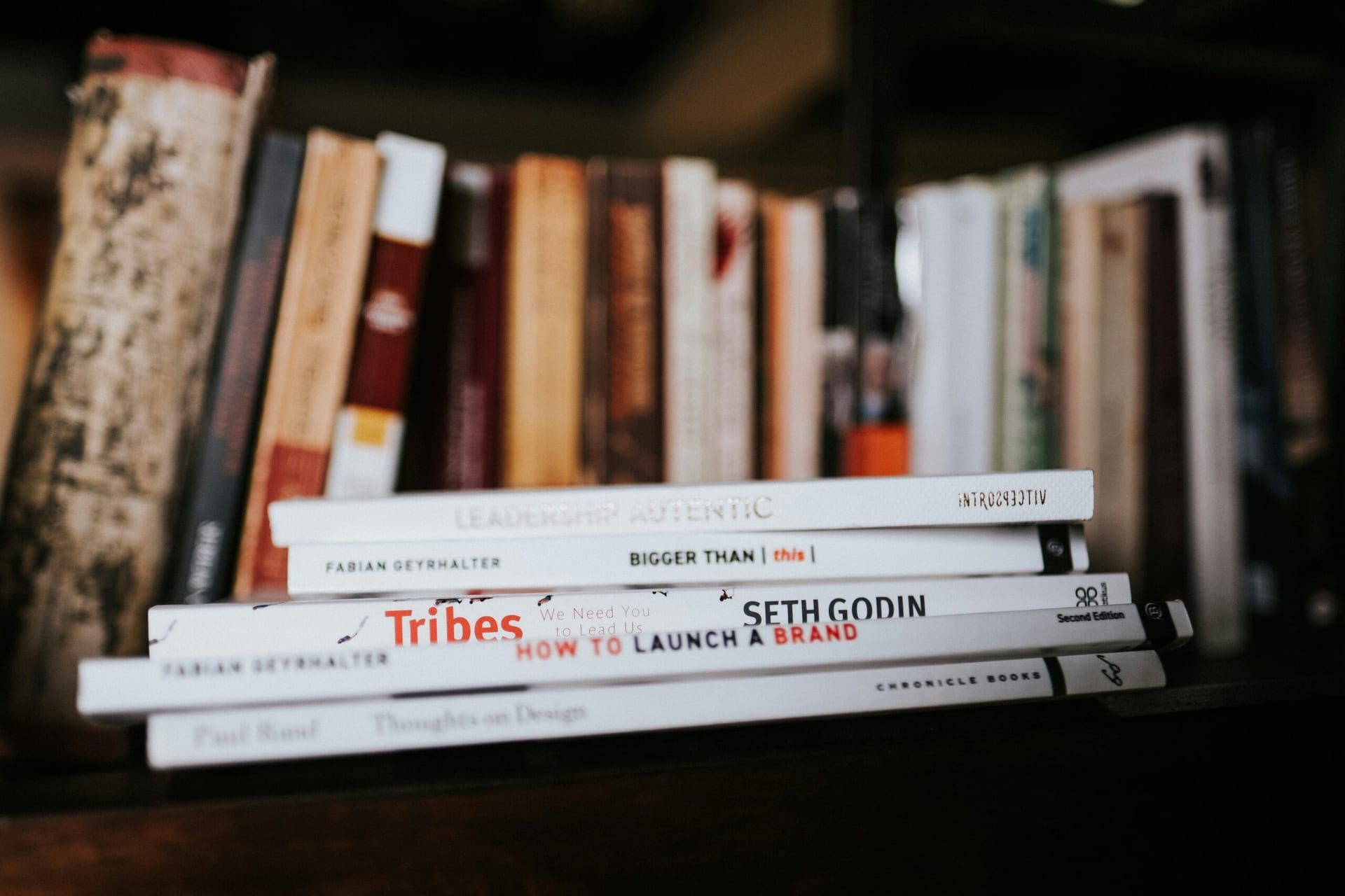 Literary Releases You Can’t Miss