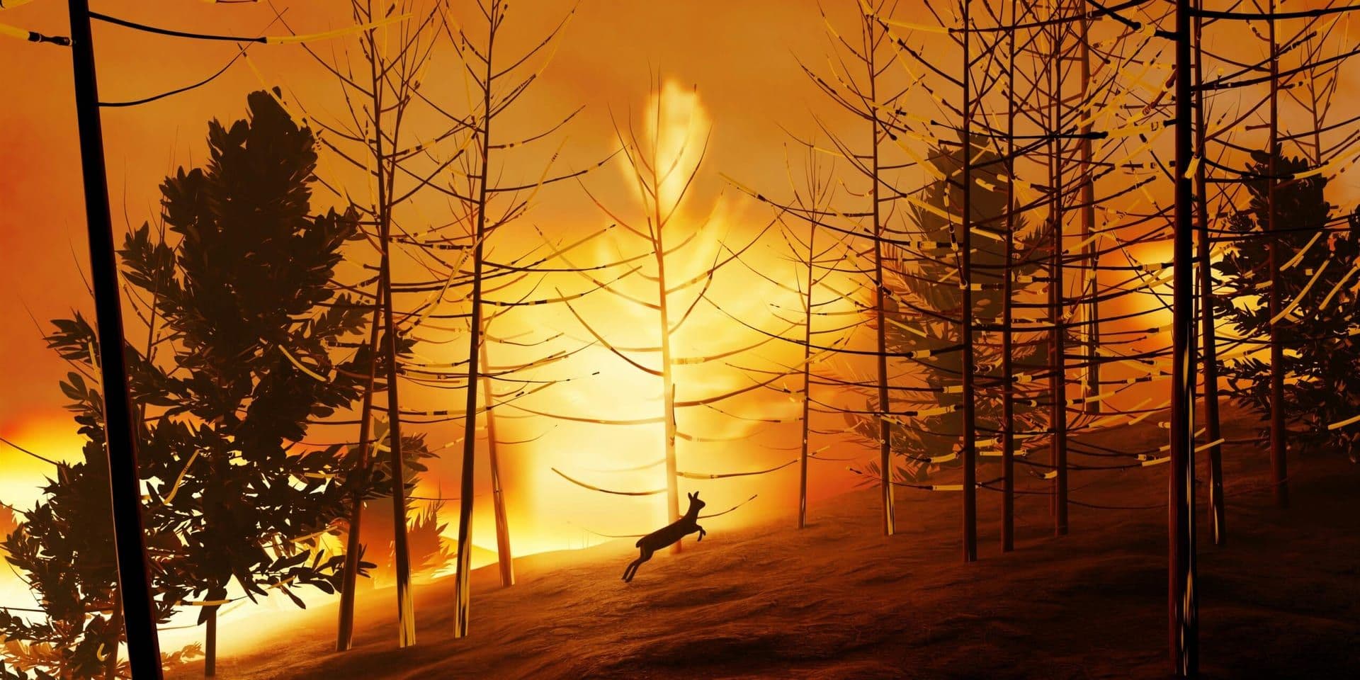 Wildfire Season Intensifies in the U.S. Amid Record Heatwaves