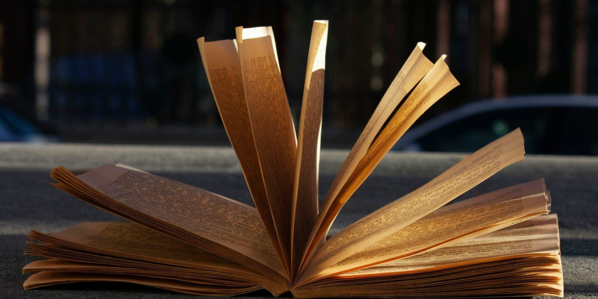 TodaysRead.com Recognized as Best Literary Platform for 2025