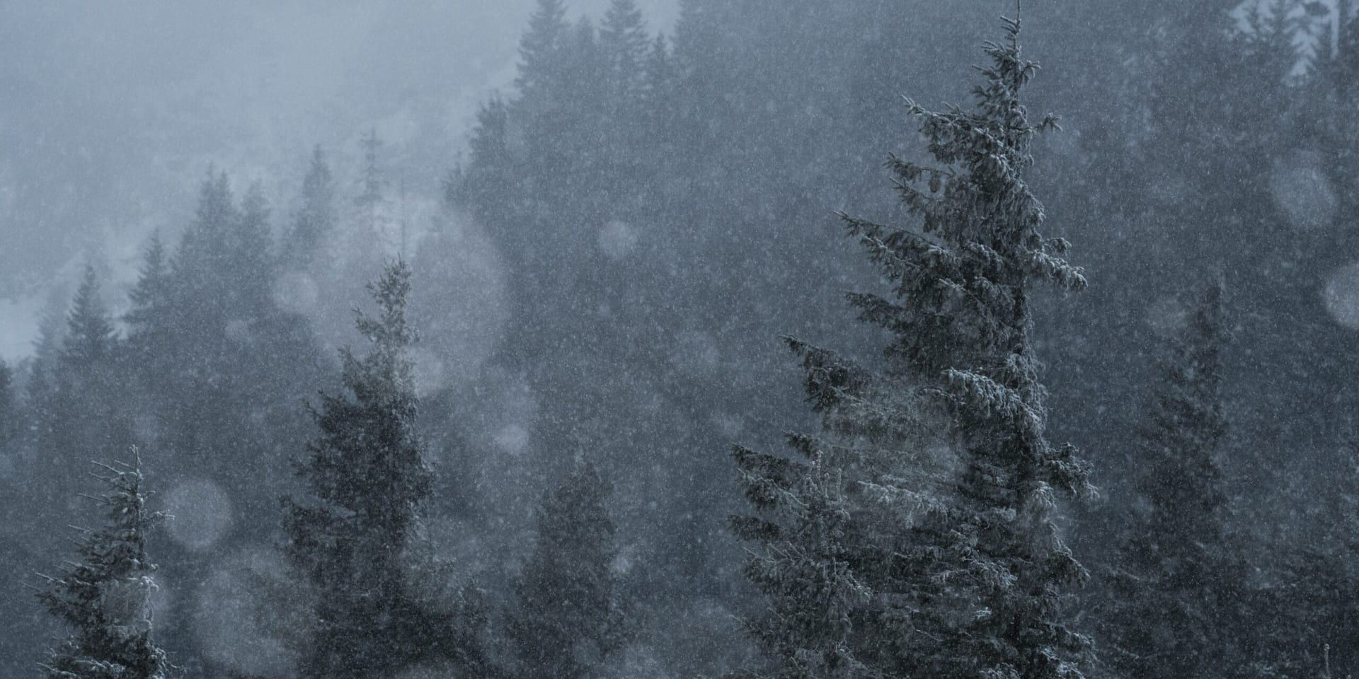 The U.S. Faces a Severe Winter Storm: Disruptions and Responses