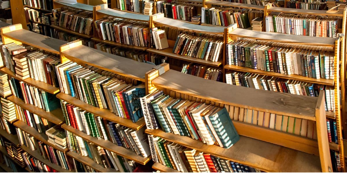 Independent Publishers Showcase Their Latest Works at the 2023 Book Expo in New York