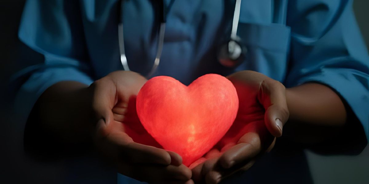 Rachel Clarke’s ‘The Story of a Heart’ Unpacks the Emotional Journey of Organ Donation