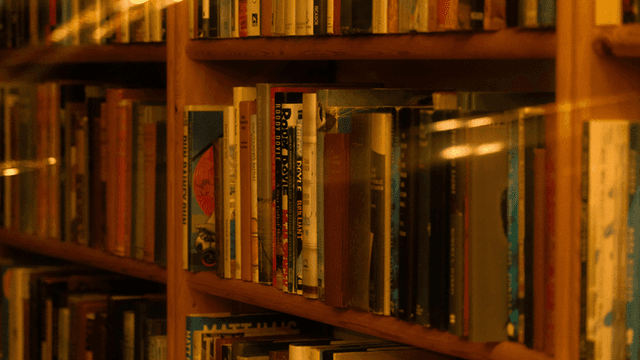 Bookshelves filled with various colorful books in a cozy reading space