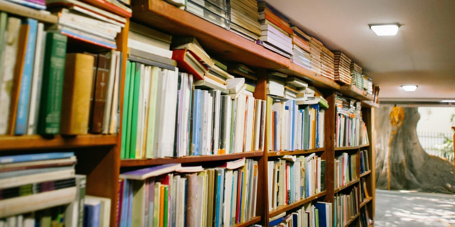 October’s Top Picks: Memoirs, Fiction and Speculative Narratives Lead Book Lists