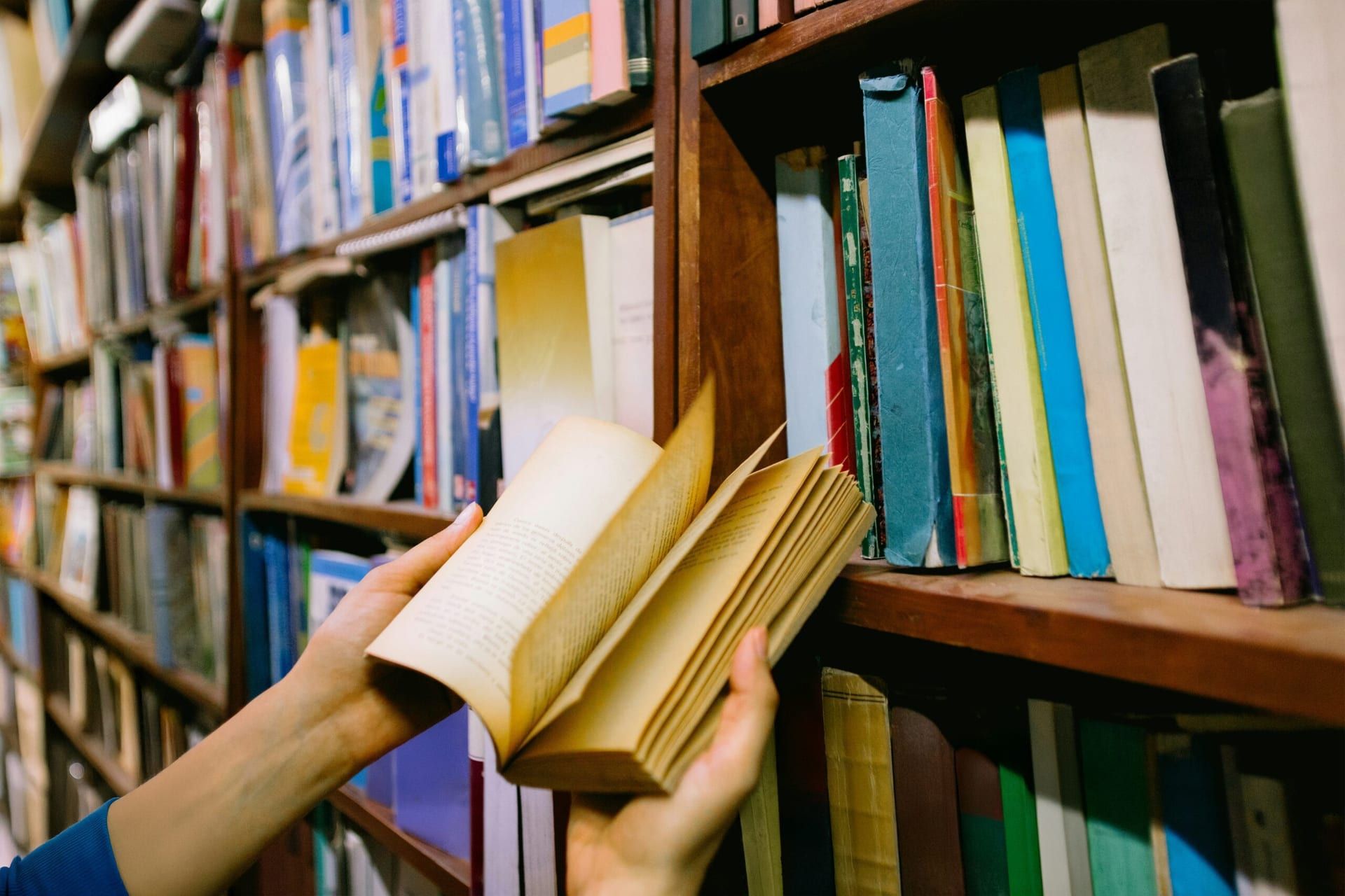 BookTok’s Growing Influence on the Literary World