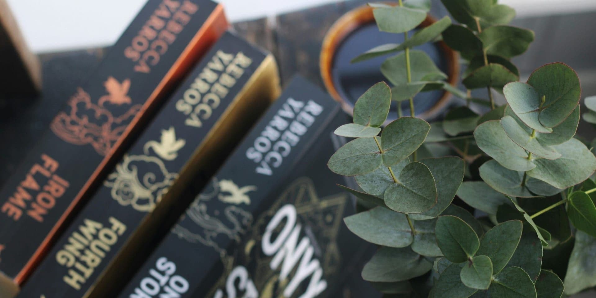 Romantasy Star Callie Hart Shares Favorite Reads for the Holiday Season