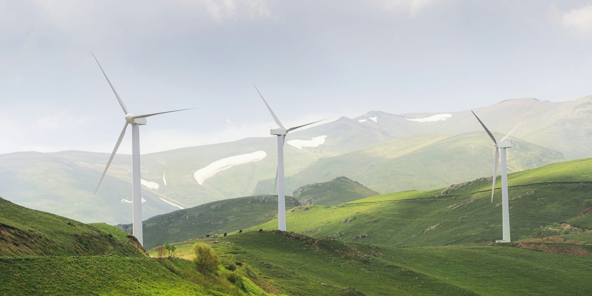 The Expansion of Clean Energy in the U.S. Boosts Job Creation