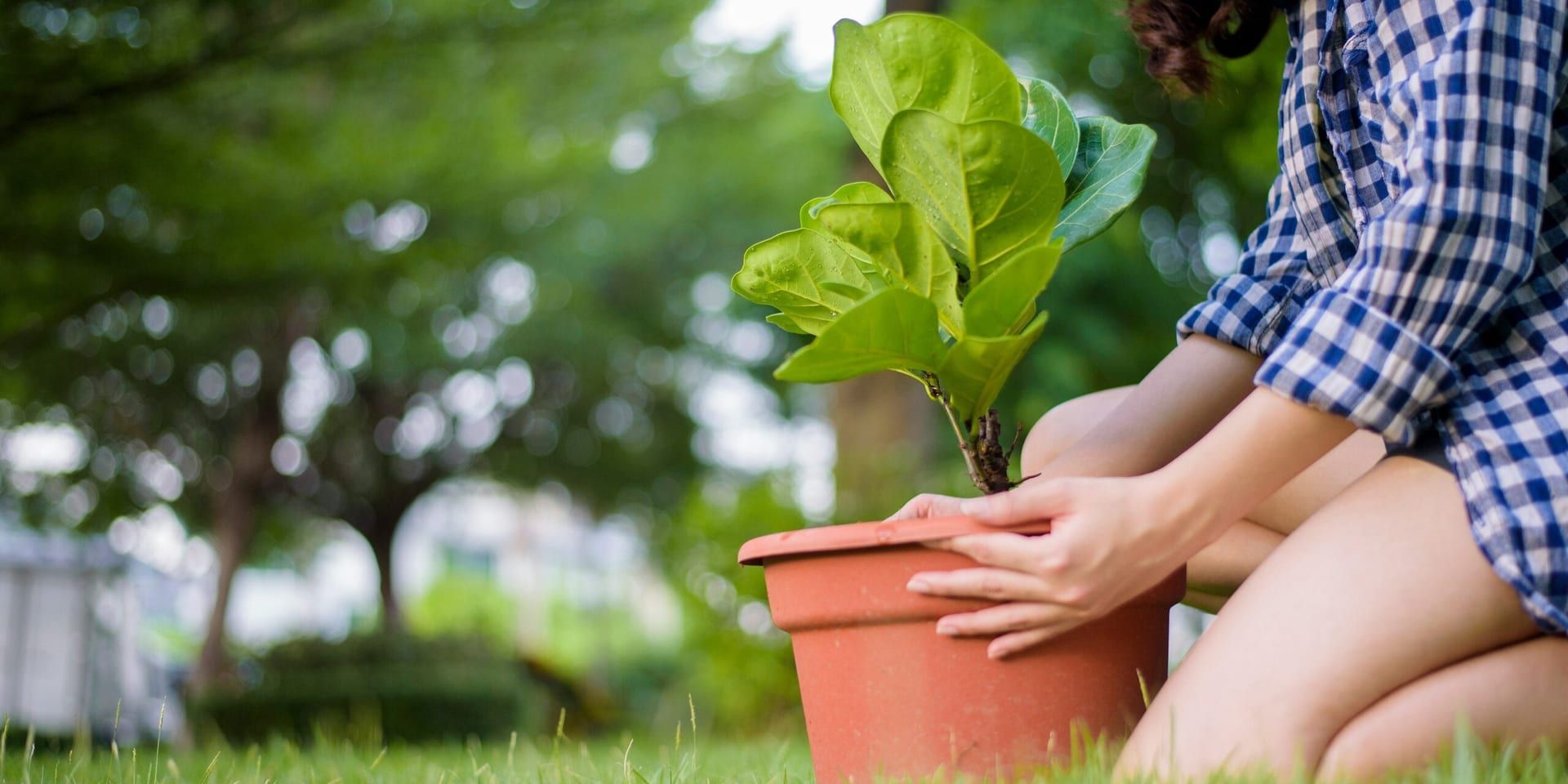 Climate Change Mitigation Efforts Gain Momentum Across the U.S.