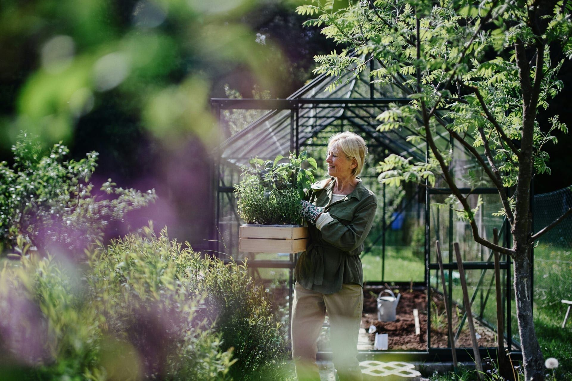 Whispers of Resilience: A Review of The Silent Garden by Heather Williams