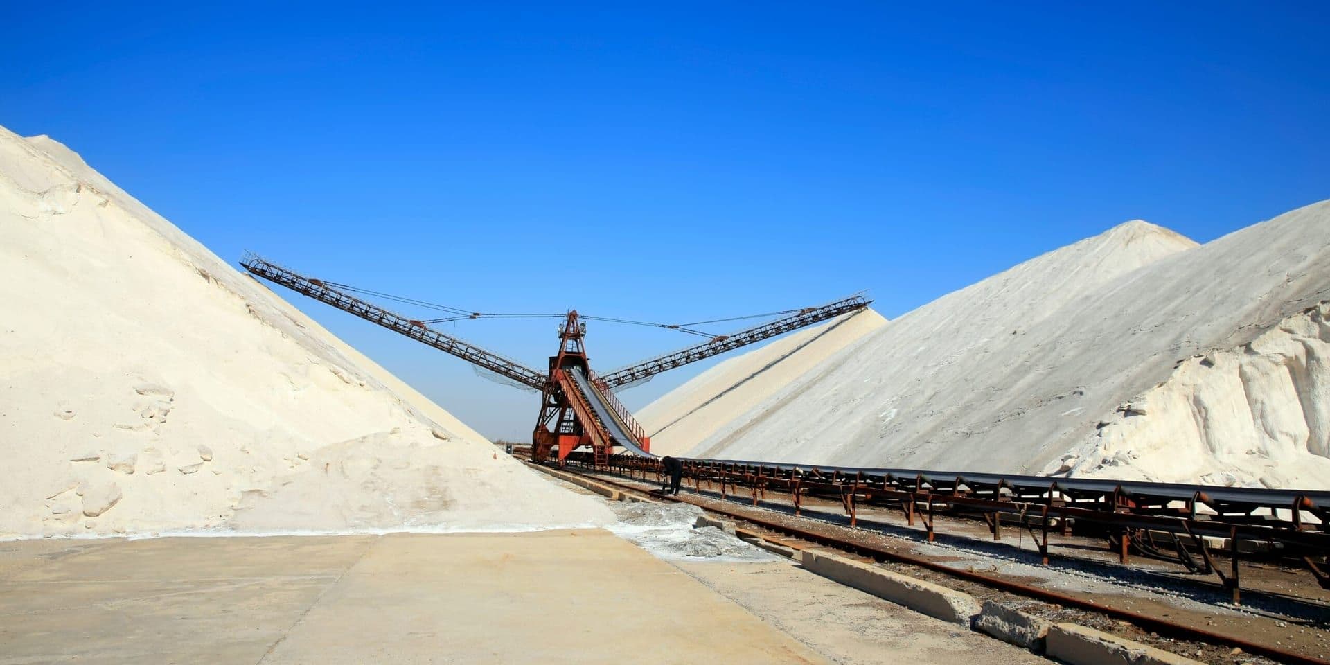 The Salt Path Controversy Sparks Ethical Debate in Publishing