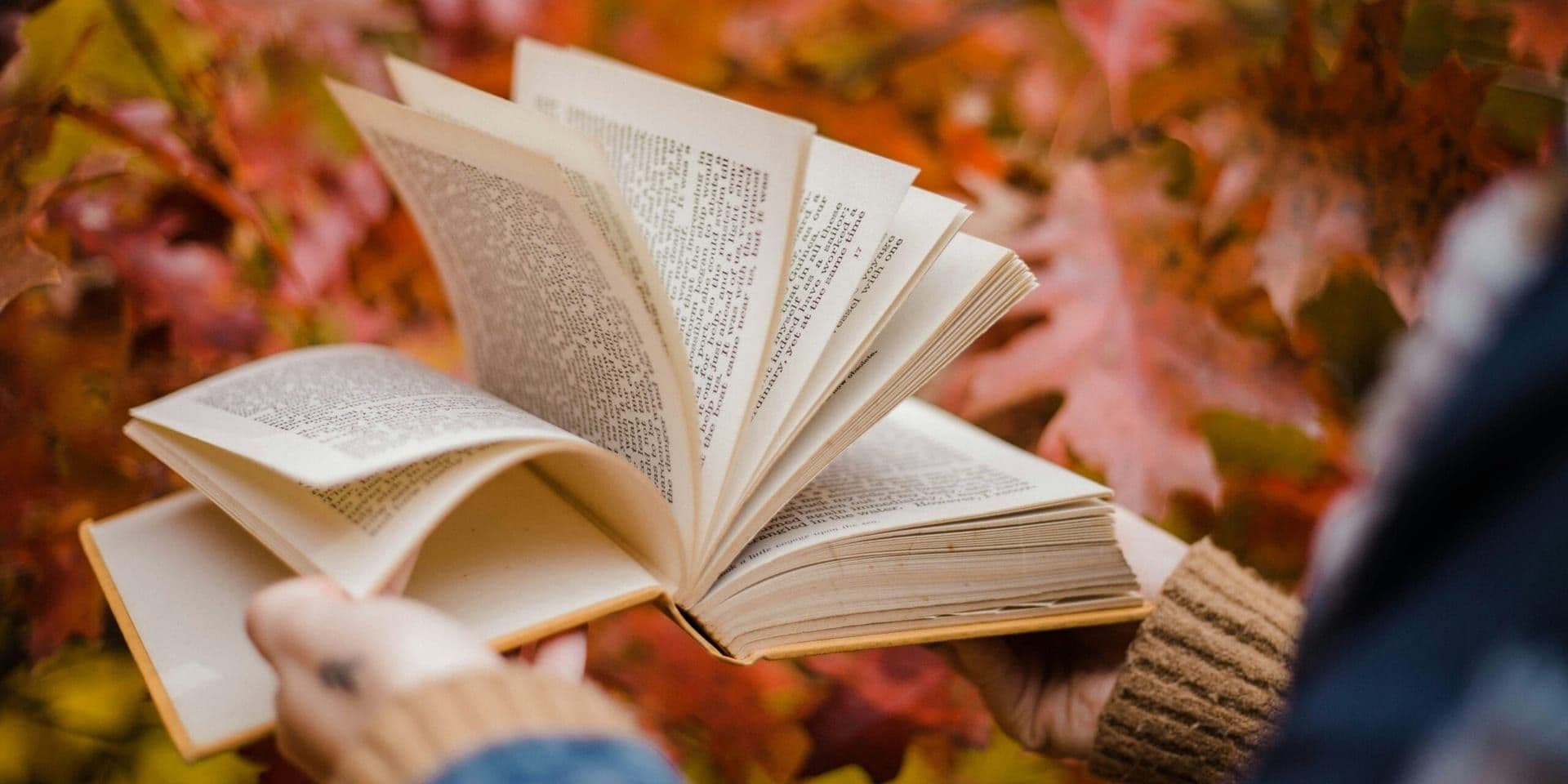 Mid-November Release Calendar Shows Surge in Debut Authors and Genre Hybrid Titles