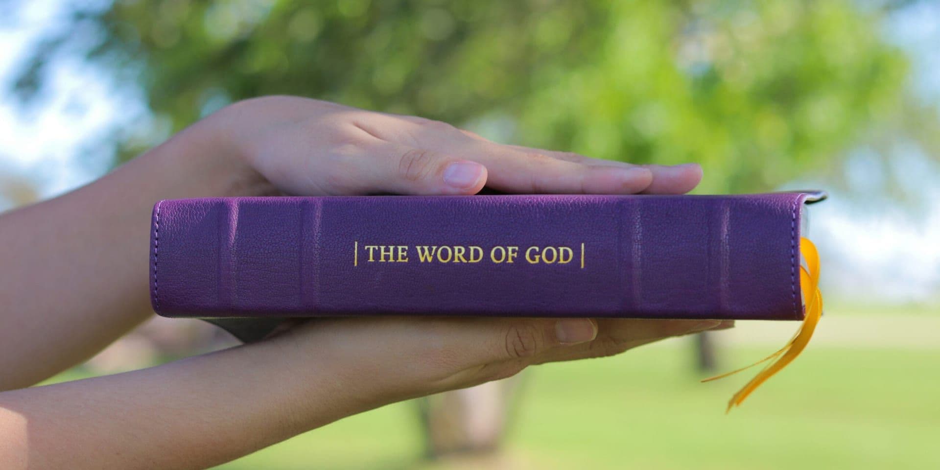 Our New Gods by Thomas Vowles