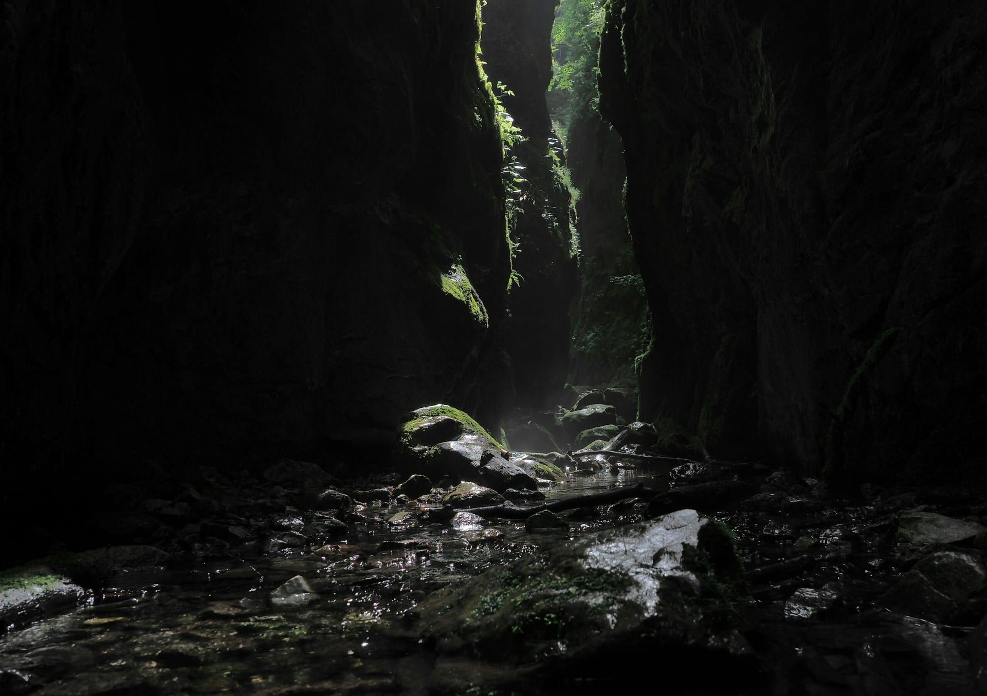 Shadow and Bone: A Dark and Captivating Journey into the Grishaverse