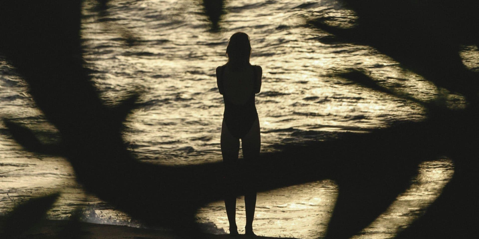 “The Memory of Shadows” Soars in Summer Bestseller Lists