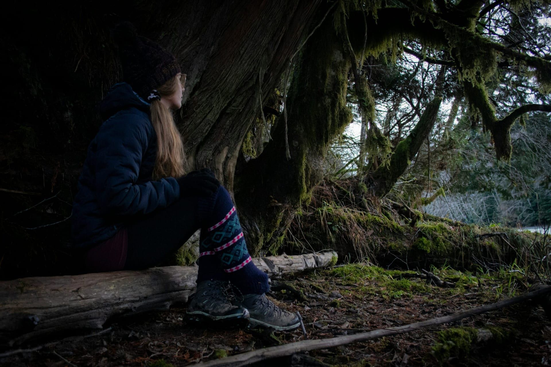 Loneliness and Resilience: Exploring Where the Crawdads Sing by Delia Owens