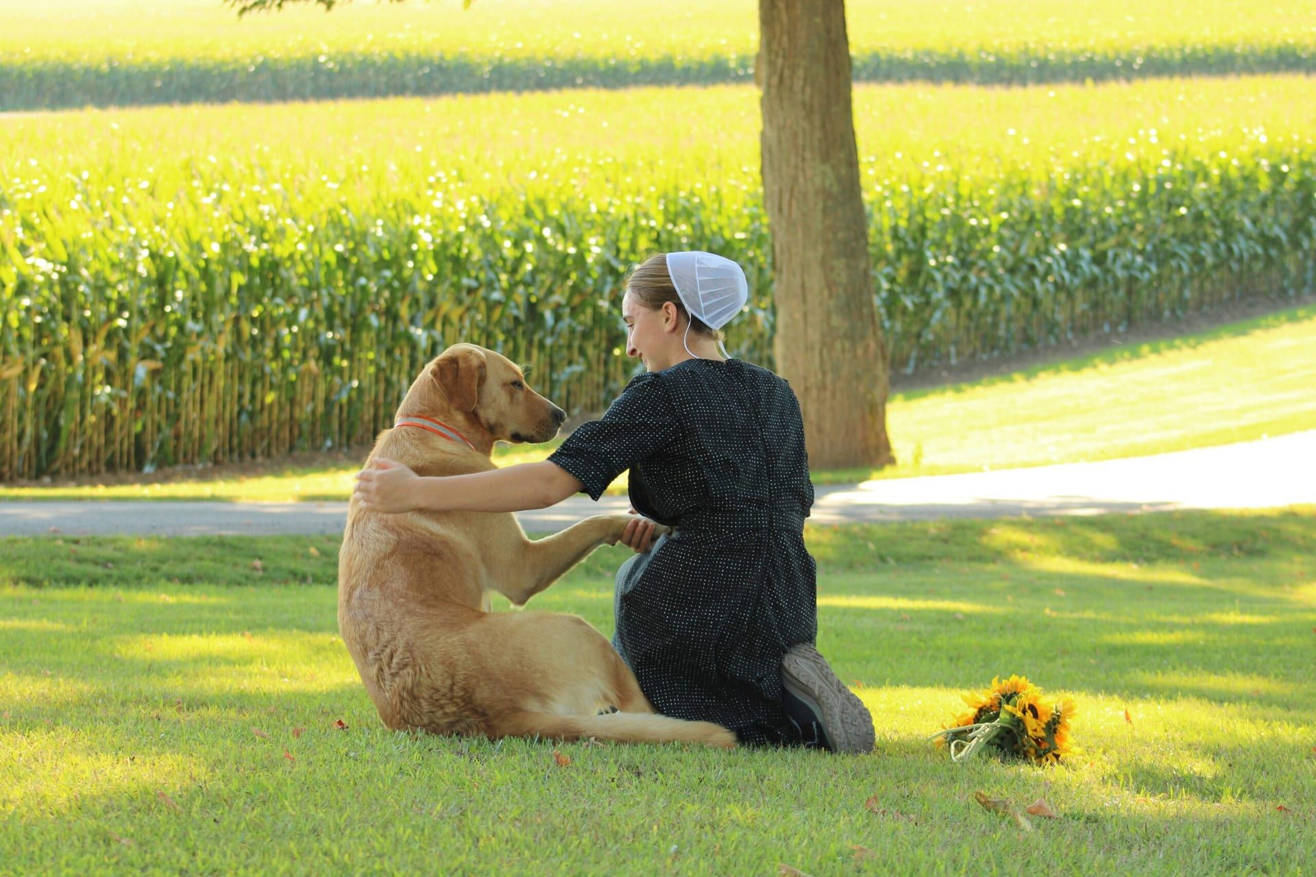 Billy Collins’ Dog Show Celebrates the Deep Bond Between Humans and Dogs in Poetic Form