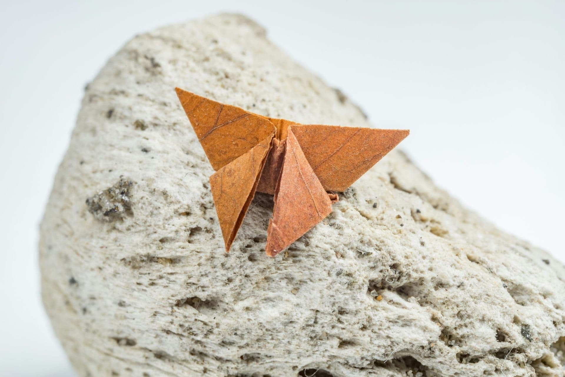 Mastering Growth: A Review of The Art of Scaling Startups by Hawk and Kim Somers Egelsee