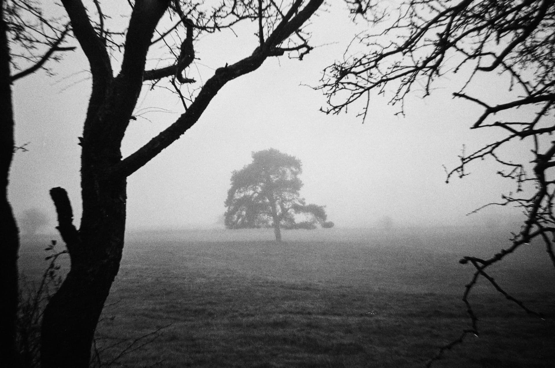 Unraveling Secrets and Identity in Brit Bennett’s The Vanishing Half