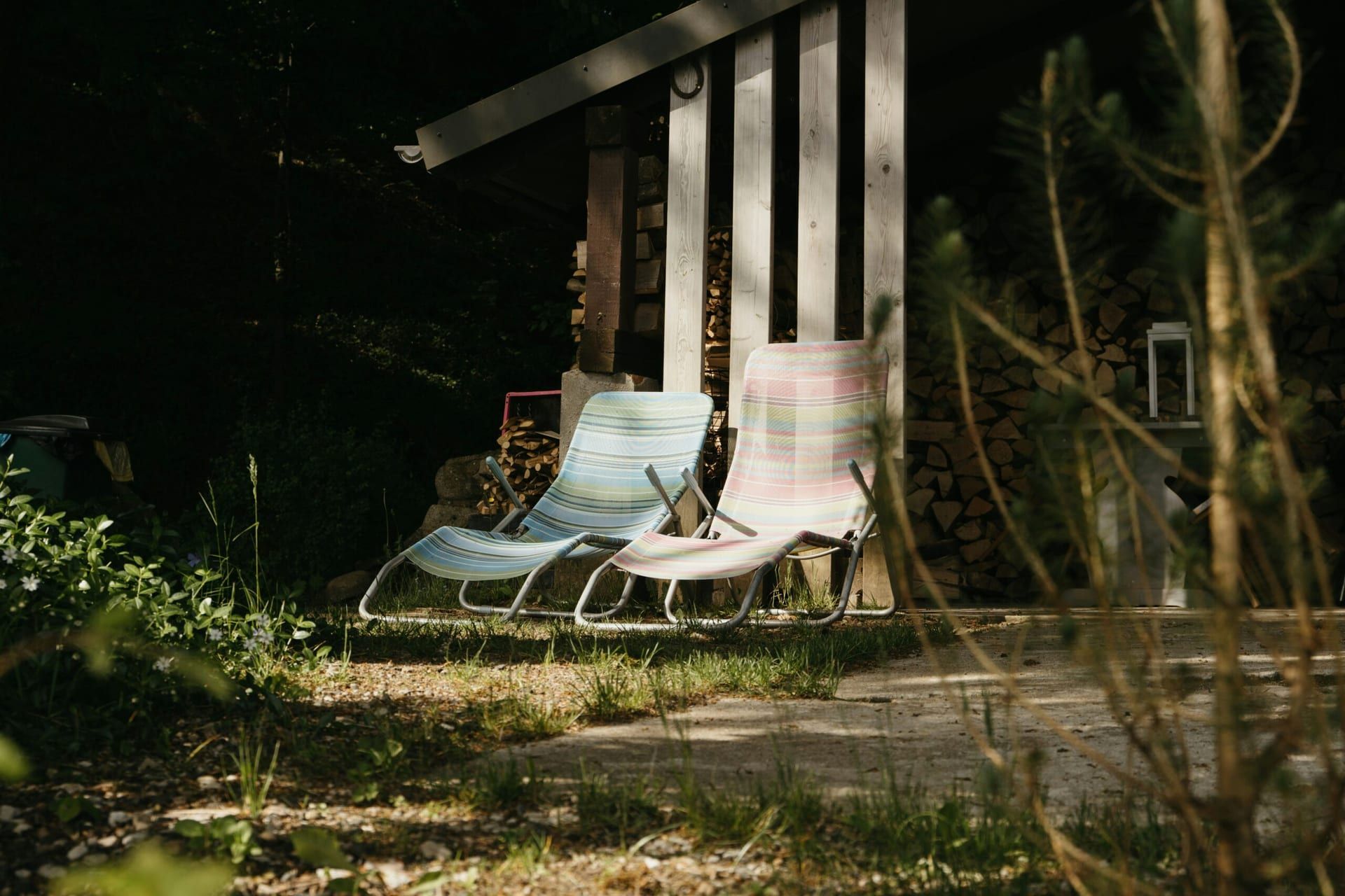 Finding Home Within: A Review of The Journey of Belonging by Kelly Williams