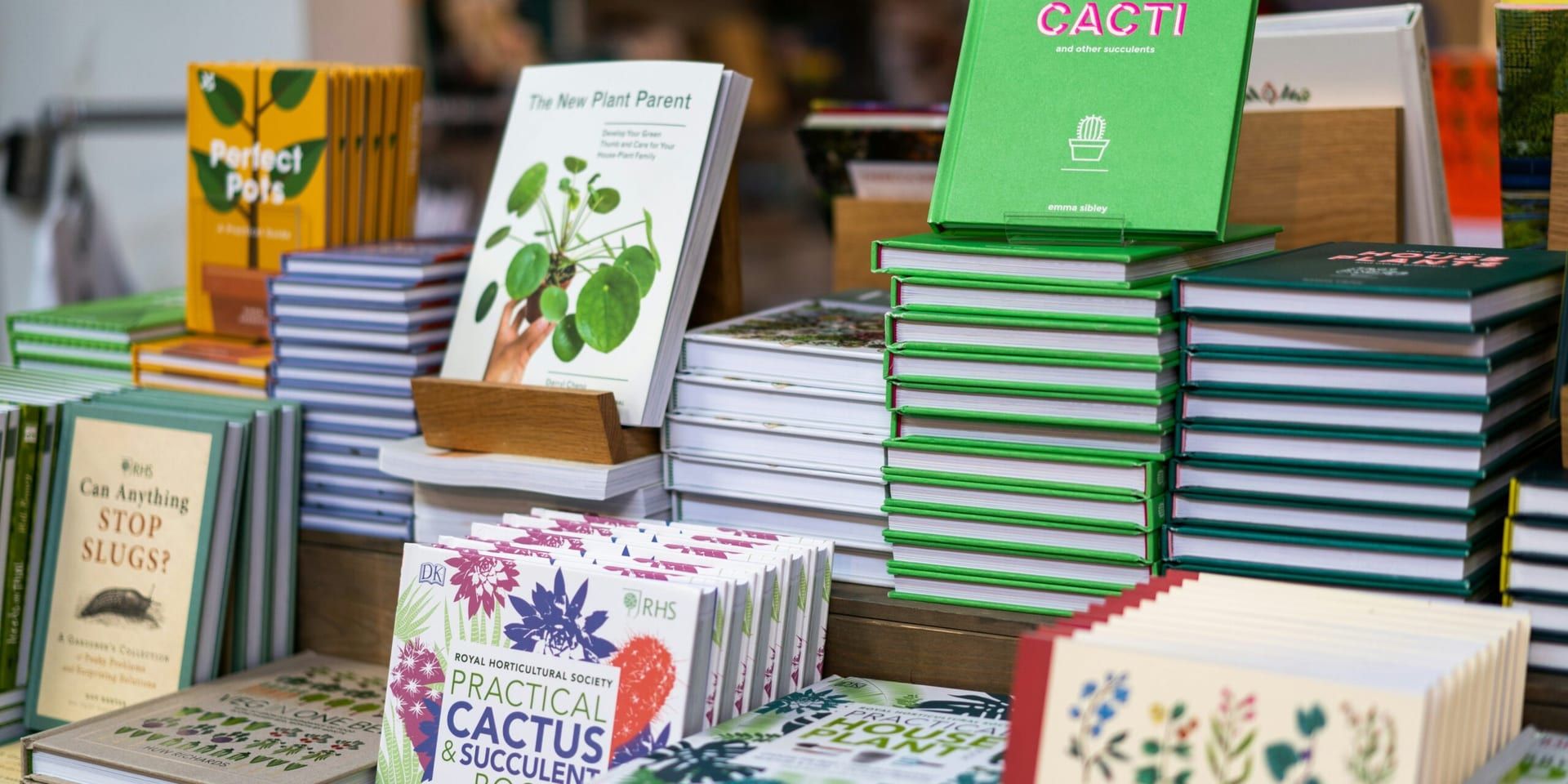 Eco-Fiction Gains Ground as a Major Literary Trend Reflecting Growing Climate Awareness