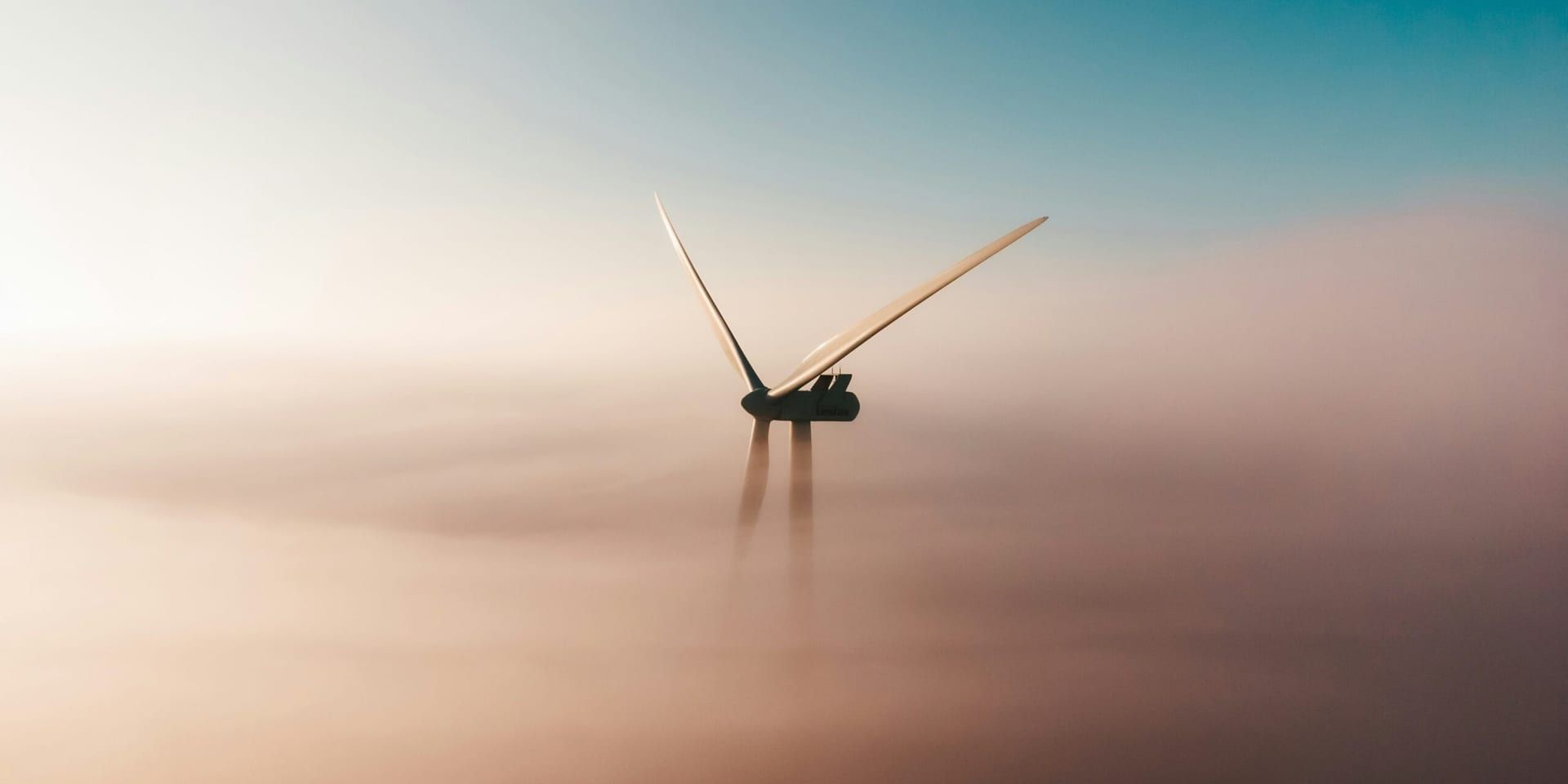 Sander weeteling igdg f mlwo unsplash