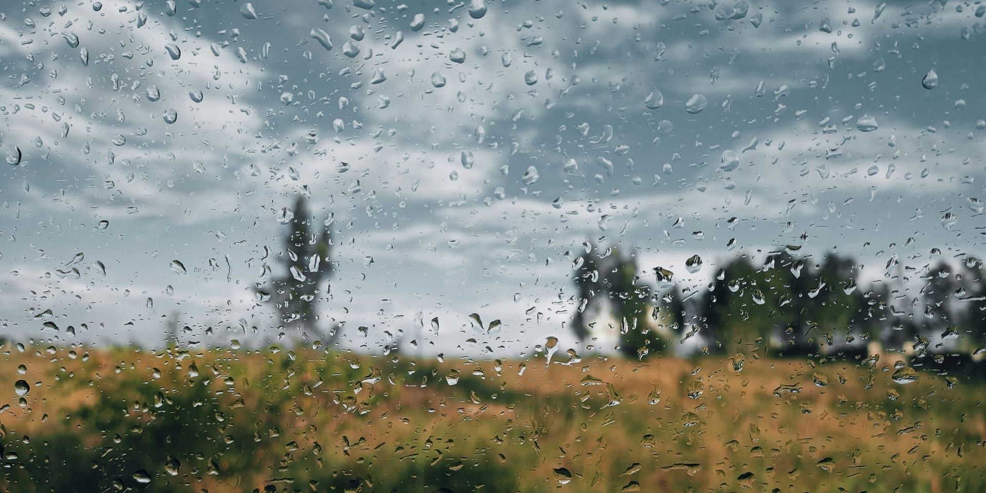 “These Summer Storms” by Sarah MacLean: A Tale of Family, Inheritance, and Romance