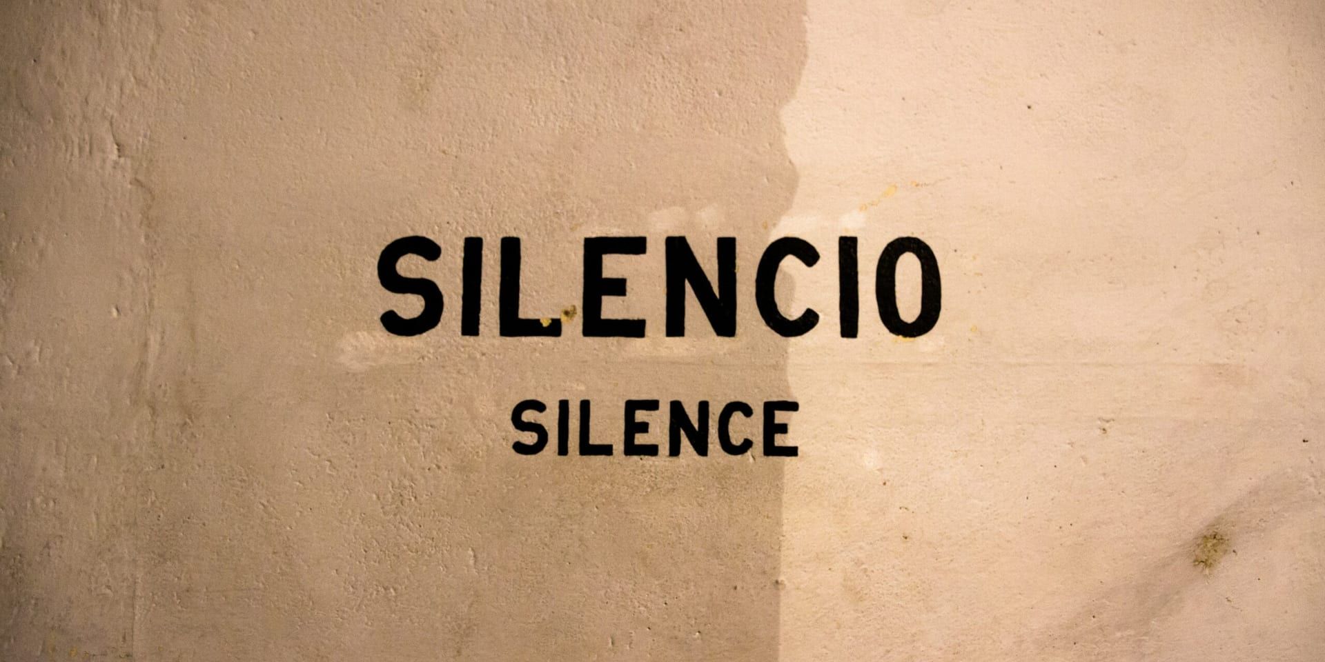 ‘The Silent Echo’ by Michael Thompson