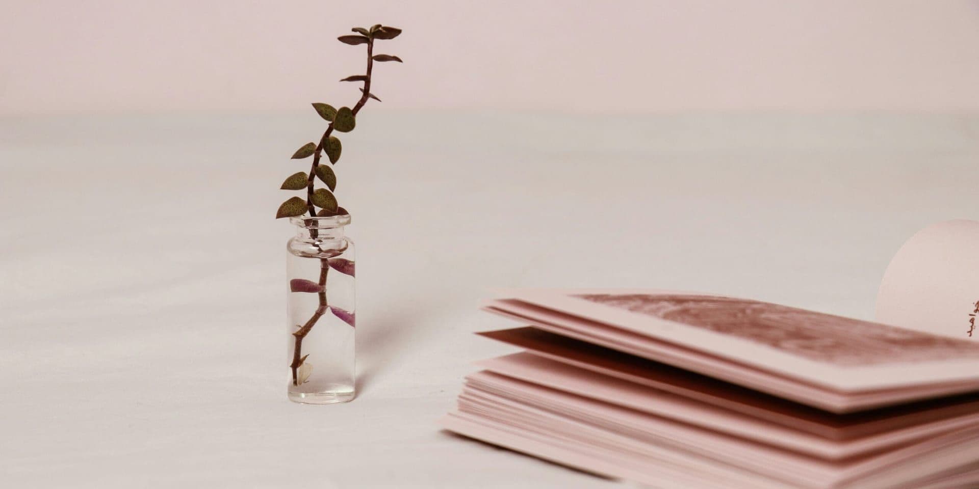 Entangled Publishing’s Innovative Strategies Propel Growth in 2025