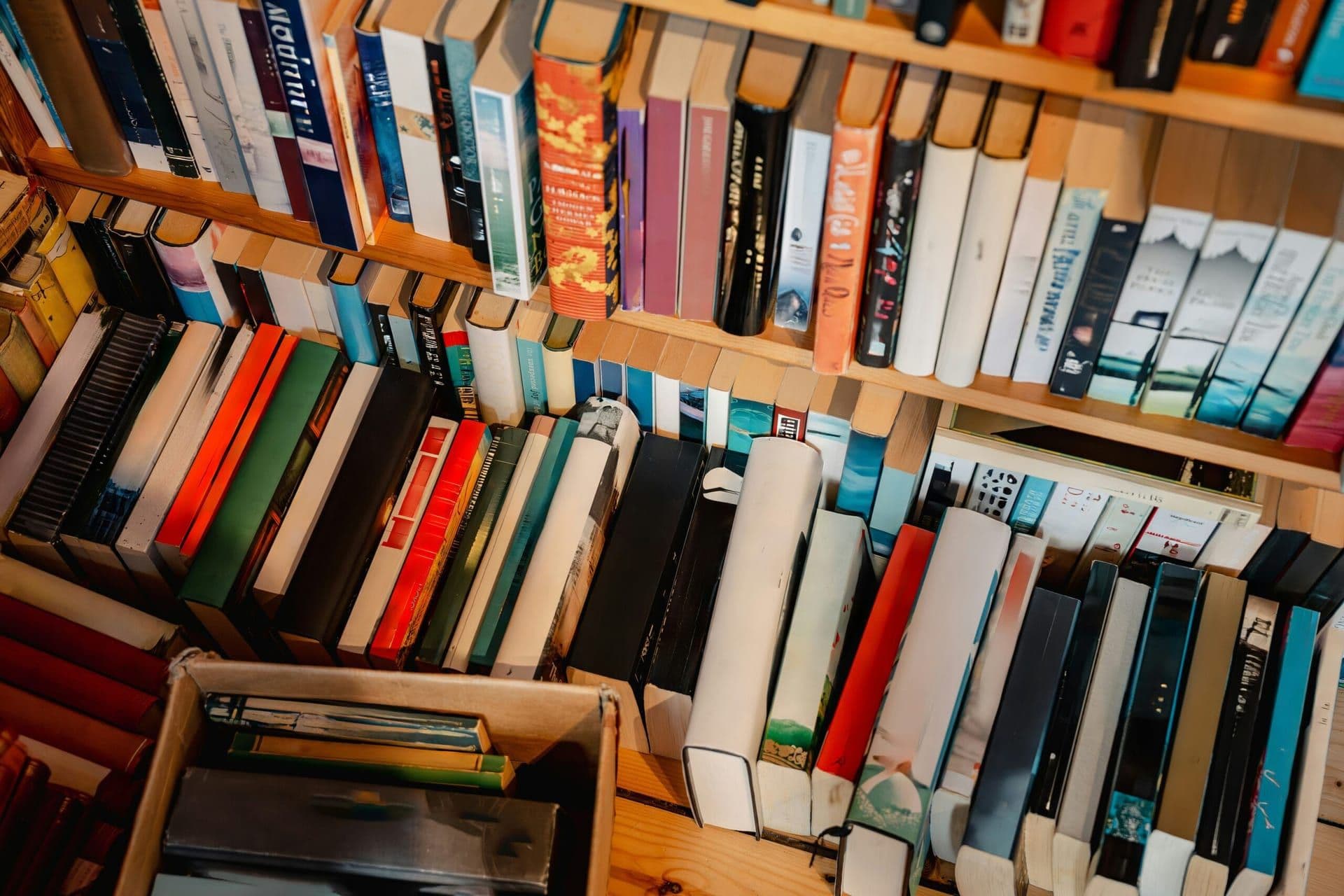 A Roundup of November’s Most Talked About Books