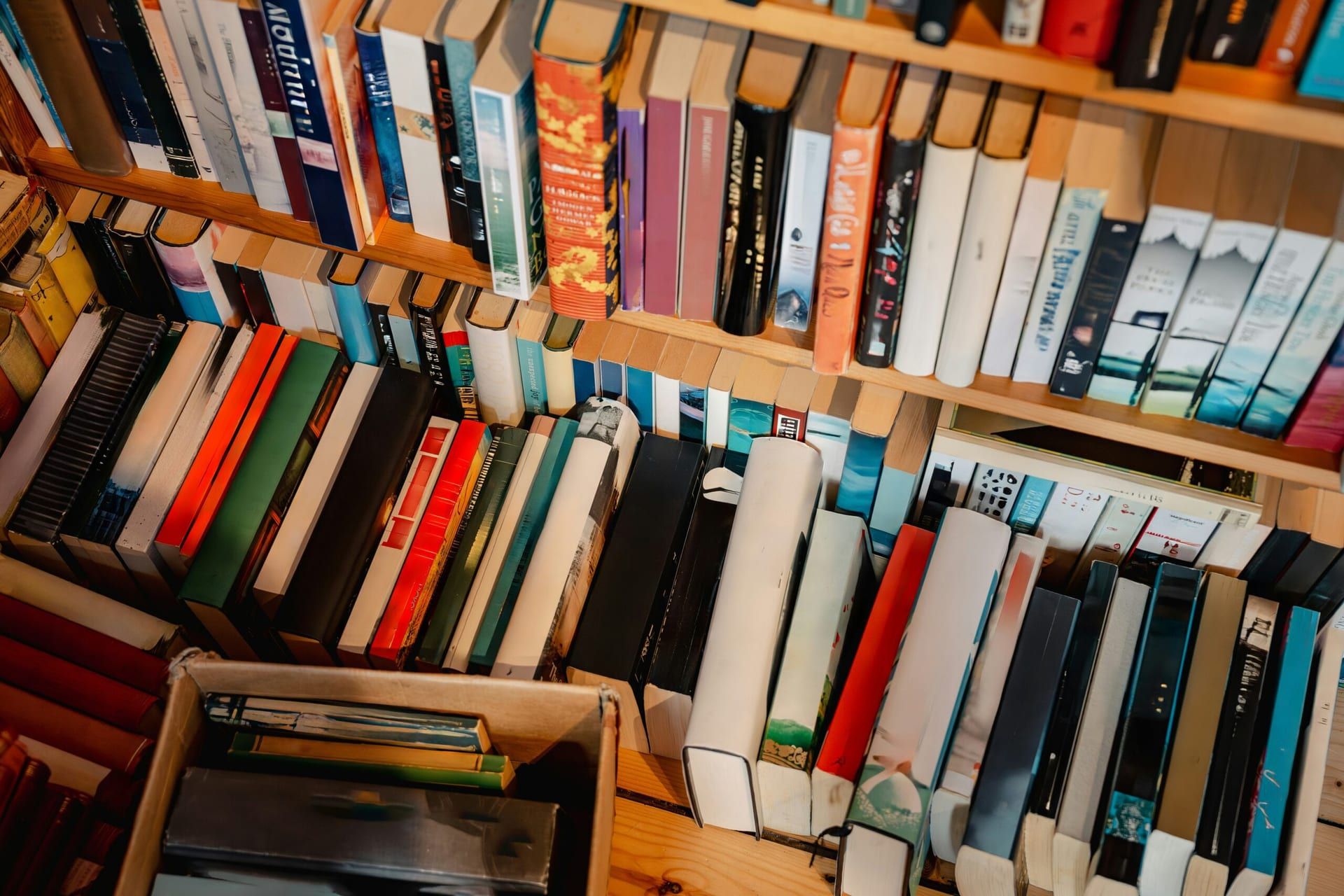 A Roundup of November’s Most Talked About Books
