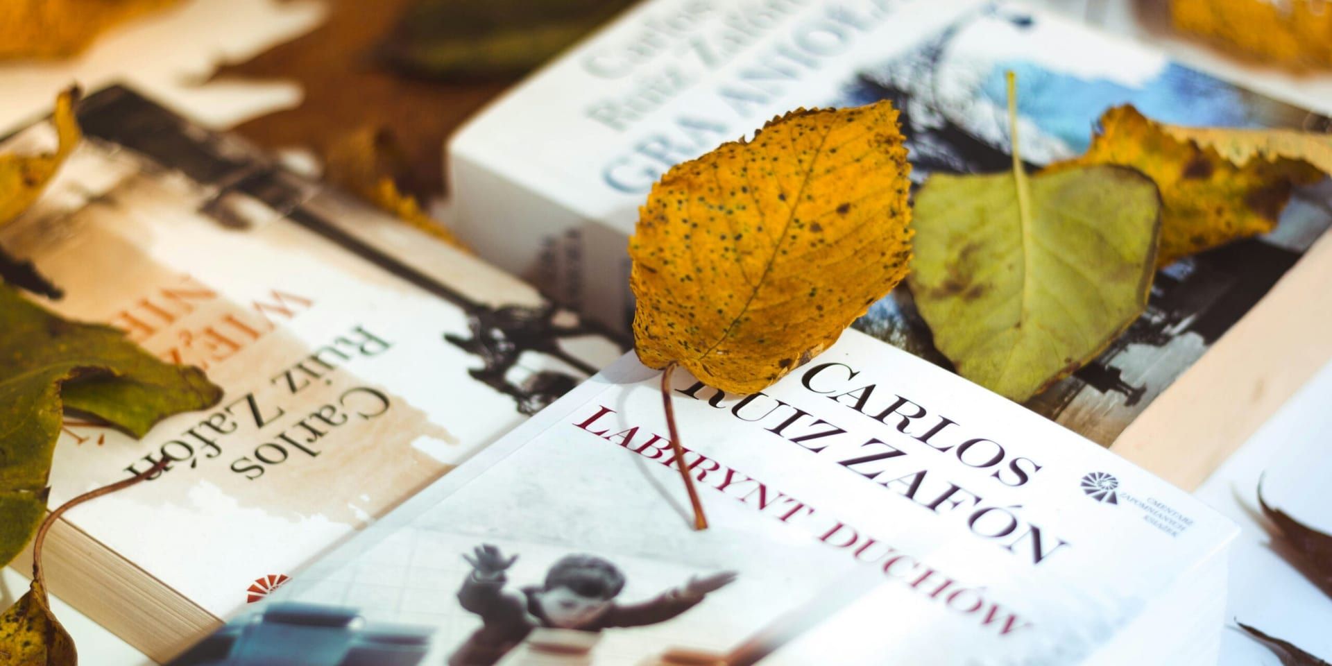 Yael van der Wouden: Celebrating Diversity and Identity in Literature