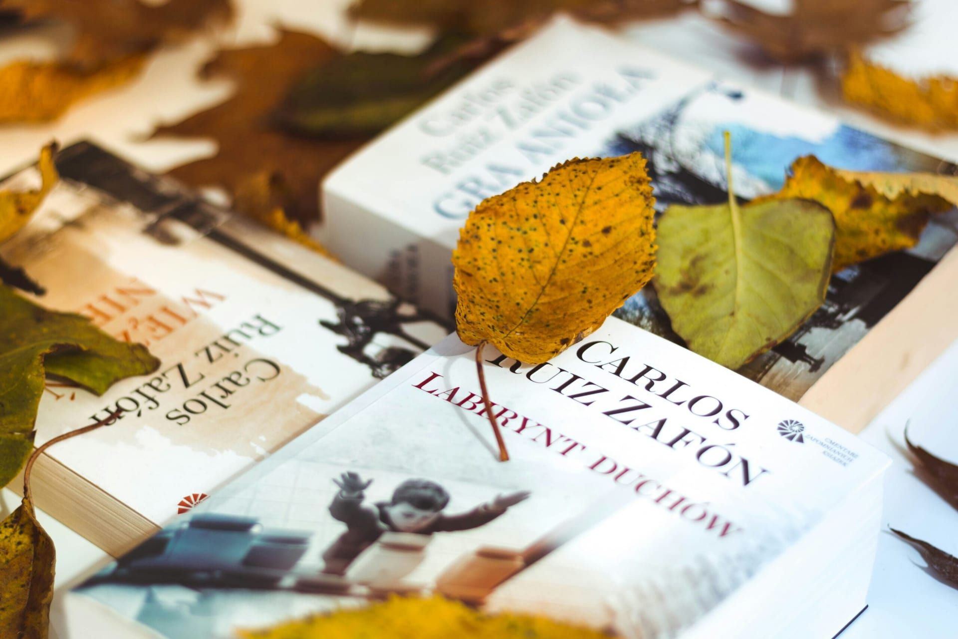 “Fall Literary Season Culminates with Major Releases”