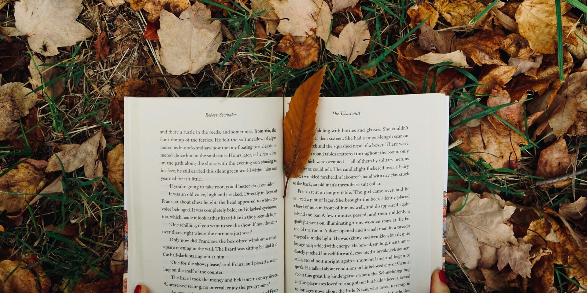 September 2025 Book Releases Perfect for Fall Reading