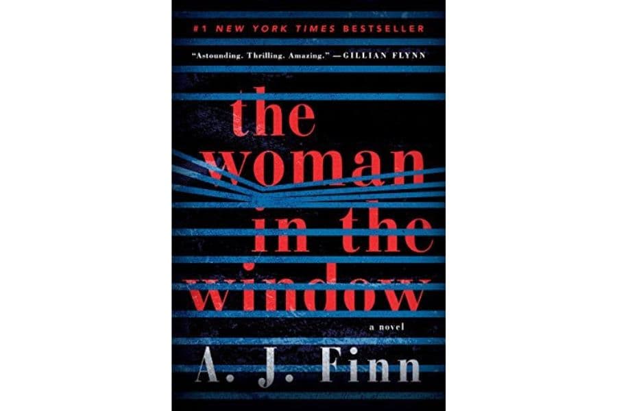 The Woman in the Window: A Psychological Thriller of Isolation, Perception, and Deception