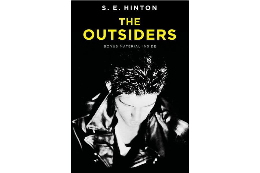 The Outsiders: A Timeless Tale of Identity, Loyalty, and Class Struggles