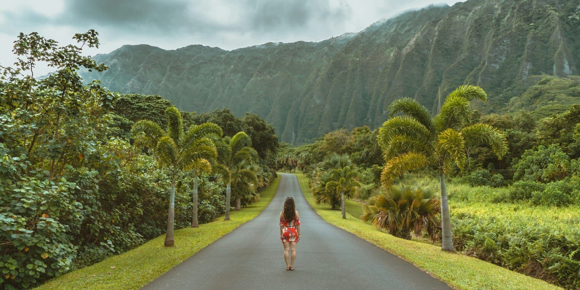 Celebrating Iconic Figures: New Nonfiction Releases Featuring A’Lelia Walker, Hawaiian Heritage, ABBA, and More