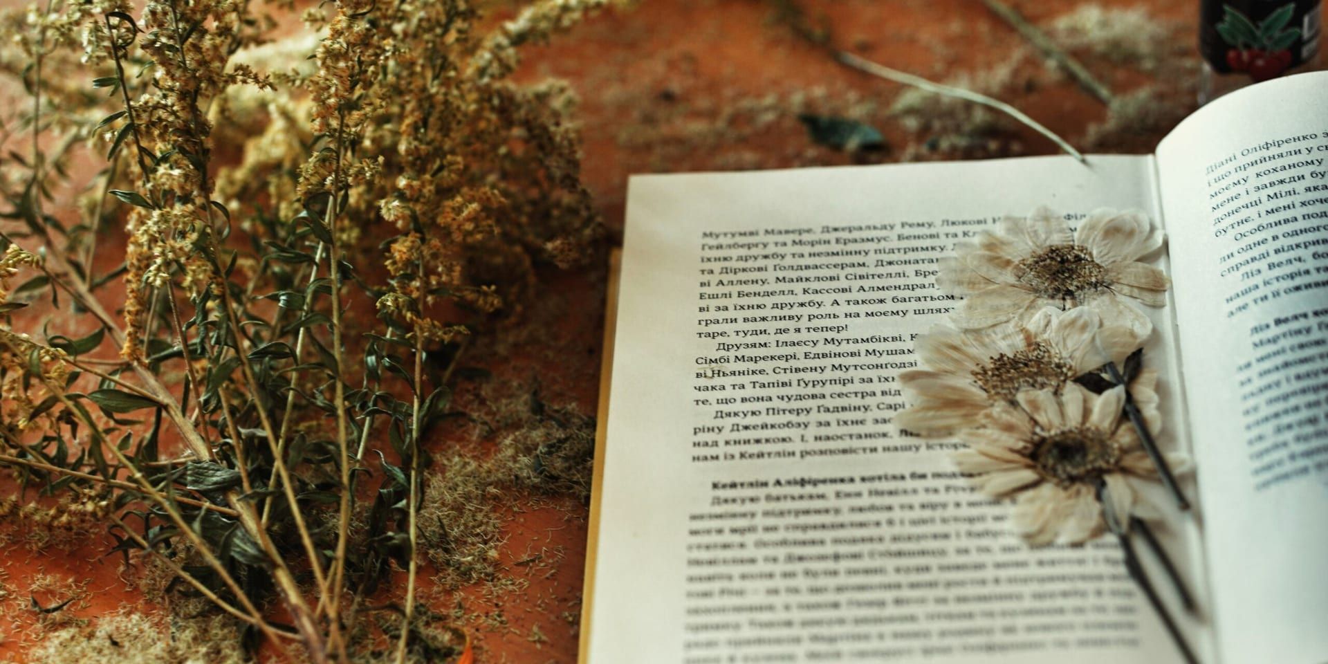 The Lost Heirloom: A Novel by Emily Davis