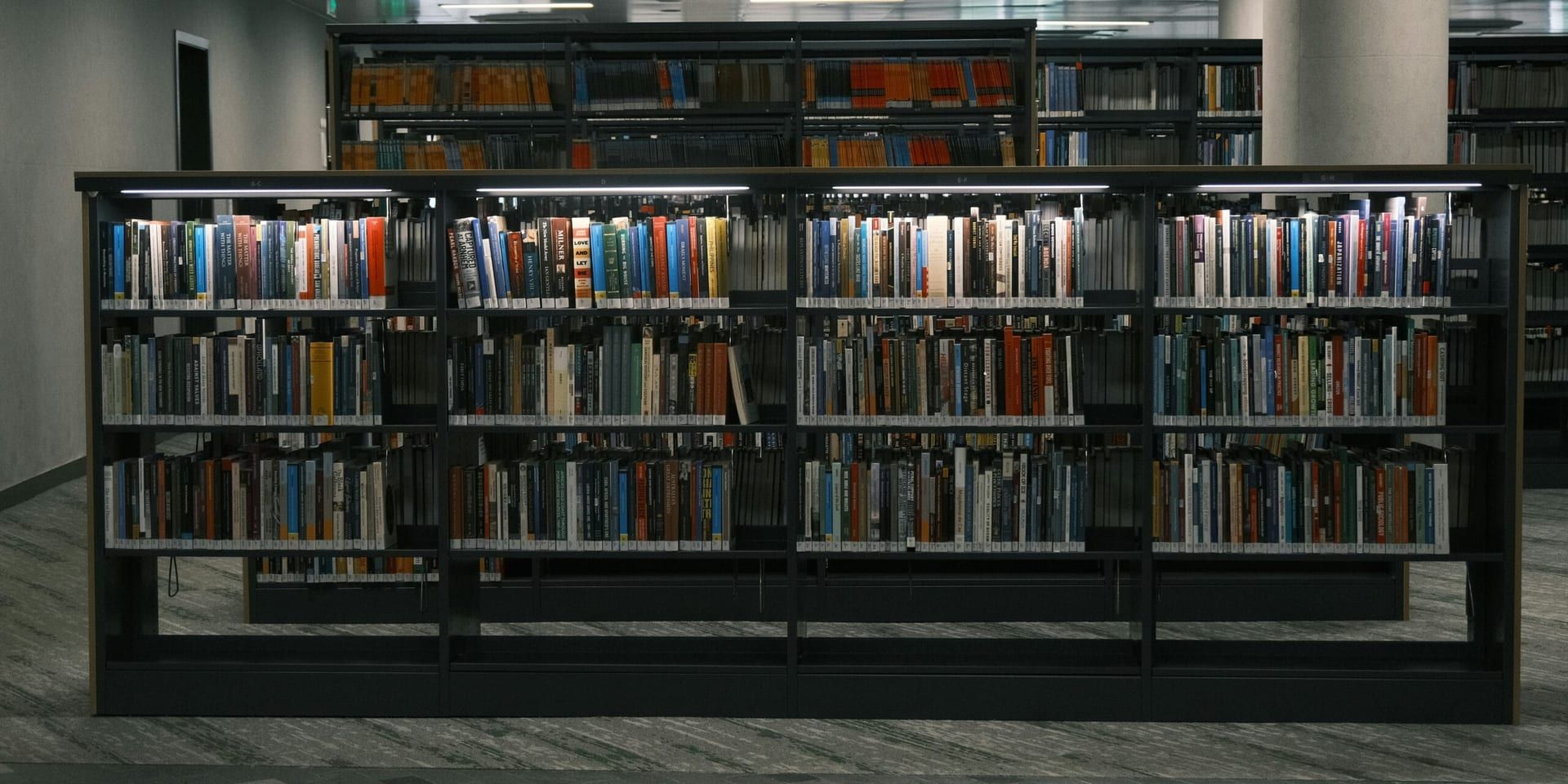 Laredo Libraries’ Graphic Novel Club Showcases Diverse Titles for 2026