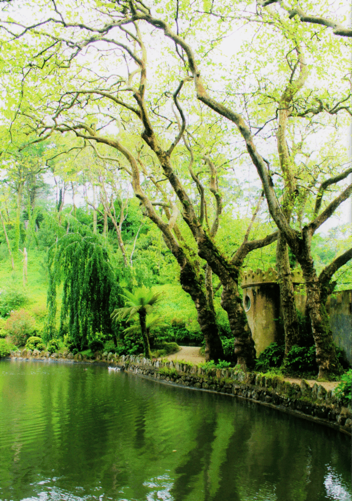 Lush green pond bordered by tall trees and a winding garden path.